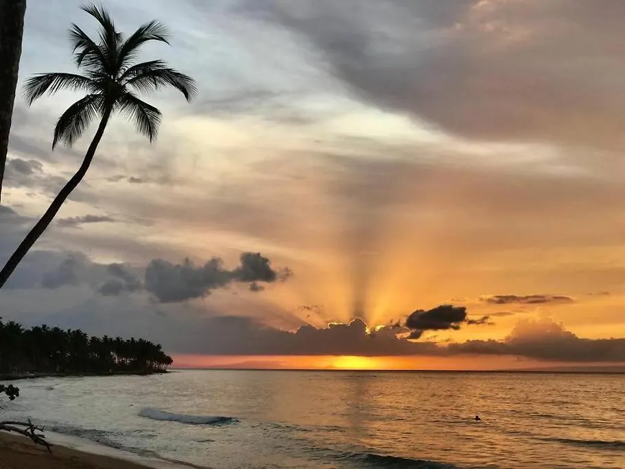 3 Bedroom Beach Front Apt At Playa Bonita Aquamarine Building #202 Las Terrenas 0*,  République dominicaine
