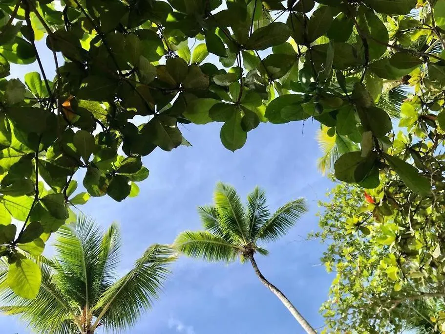 Appartement 3 Bedroom Beach Front Apt At Playa Bonita Aquamarine Building #202 Las Terrenas République dominicaine